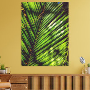 Toile Palm Frond, Aiguilles de pin et Ombres