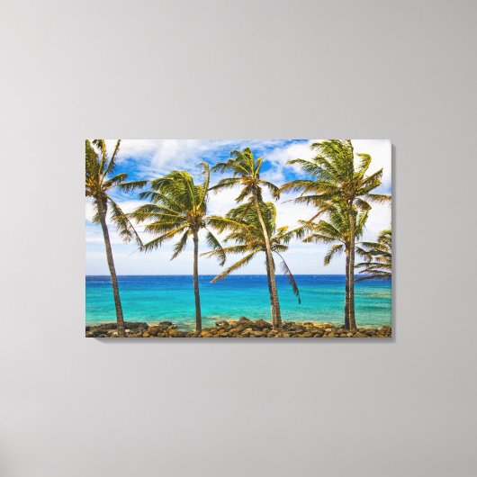 Toile Palmier à noix de coco (Cocos nucifera) se balança (Recto)