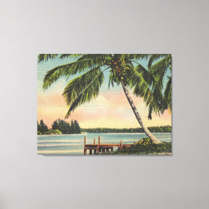 Toile Palmier Cocotier Vintage Brise Tropicale Coucher d