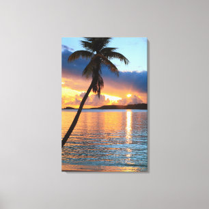 Toile Palmier et ciel des Caraïbes de coucher du soleil