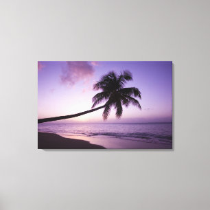 Toile Palmier solitaire au coucher du soleil, plage de C