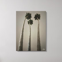 Palmiers de Santa Cruz la nuit - Œuvre d'art