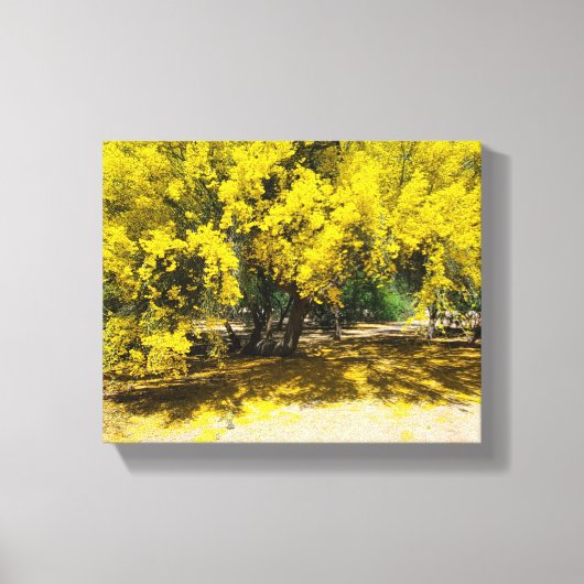 Toile Palo Vert jaune (Recto)