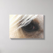 Toile Palomino (Recto)