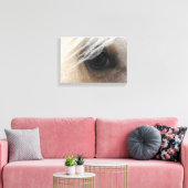 Toile Palomino (Insitu(Salon))