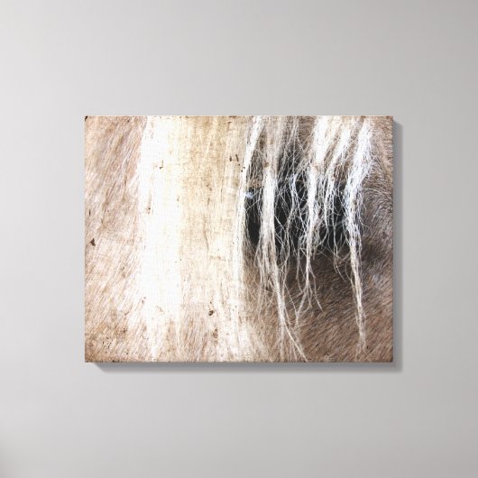 Toile Palomino Grunge (Recto)