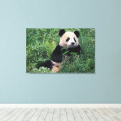 Toile Panda géant dans l'herbe, vallée de Wolong, Sichua (Insitu (Plancher de Bois))
