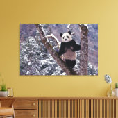 Toile Panda géant debout sur l'arbre, Wolong, Sichuan, (Insitu(Salon))