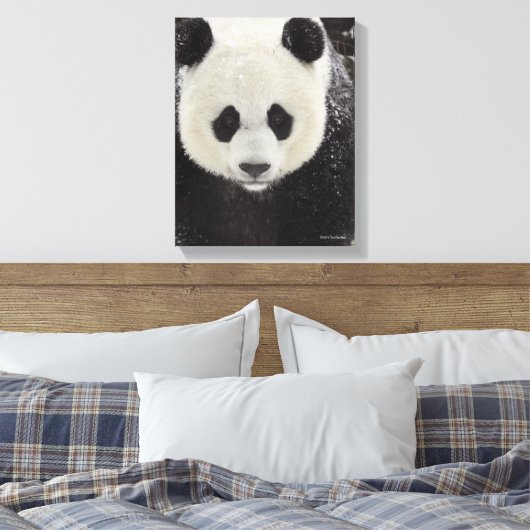 Toile Panda géant en neige (Insitu(Chambre))