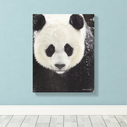 Toile Panda géant en neige (Insitu (Plancher de Bois))