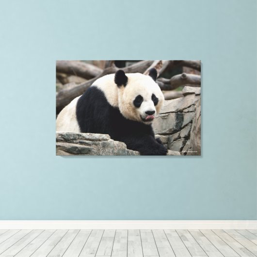 Toile Panda géant sur les rochers (Insitu (Plancher de Bois))