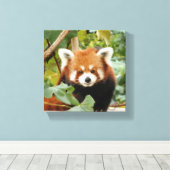 Toile Panda rouge (Insitu (Plancher de Bois))