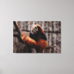 Toile Panda rouge