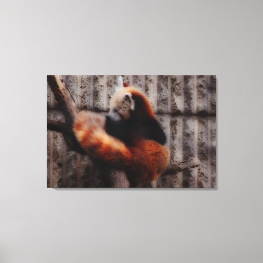 Toile Panda rouge (Recto)