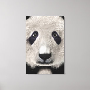 Toile Panda roux