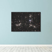 Toile Pandora's Cluster (Insitu (Plancher de Bois))