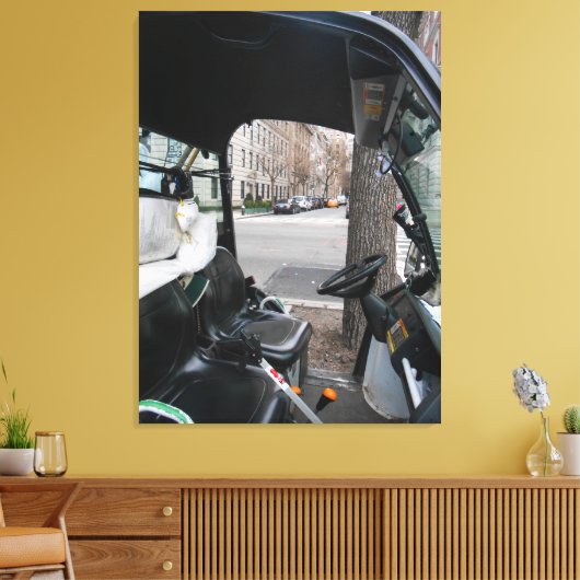 Toile Panier (Insitu(Salon))