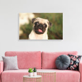 Toile Panneaux de chiot Carlin (Insitu(Salon))