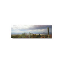 Panorama de l'Arizona Monsoon paysage
