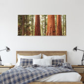 Toile Panorama de séquoias géants (Insitu(Chambre))