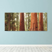 Toile Panorama de séquoias géants (Insitu (Plancher de Bois))