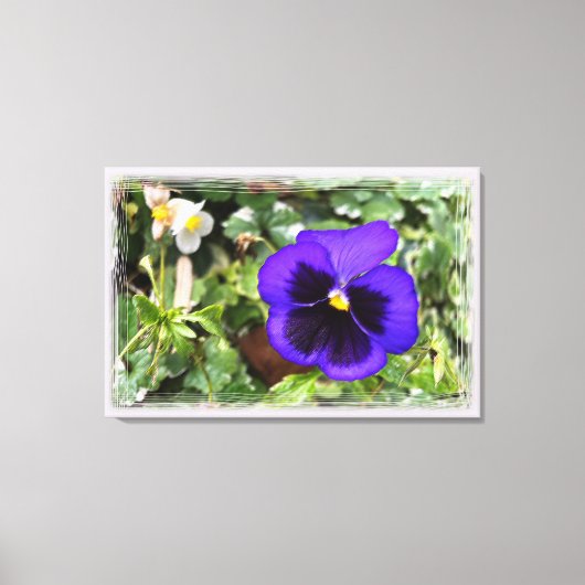 Toile Pansement pourpre (Recto)