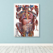 Toile Paolo Mascagni Illustration de Viscères Humaines (Insitu (Plancher de Bois))