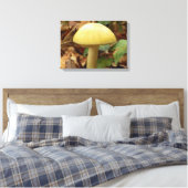 Toile Papier à champignons de bouchon de mort (Insitu(Chambre))