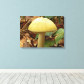 Toile Papier à champignons de bouchon de mort (Insitu (Plancher de Bois))
