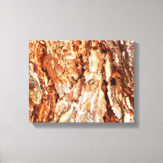 Toile Papier à écorce