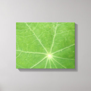 Toile Papier à feuilles Nasturtium