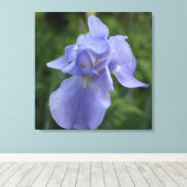 Toile Papier à Fleur Iris Violet (Insitu (Plancher de Bois))
