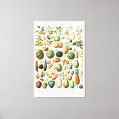 Toile Papier de Fruits de Millot d'Adolphe (Recto)