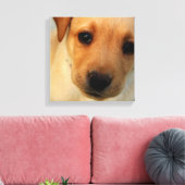 Toile Papier de marionnettes Labrador Retriever (Insitu(Salon))