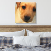 Toile Papier de marionnettes Labrador Retriever (Insitu(Chambre))