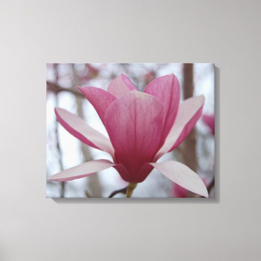 Toile Papier japonais Magnolia (Recto)