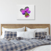 Toile Papier Pansy Wild Dark Purple (Insitu(Chambre))