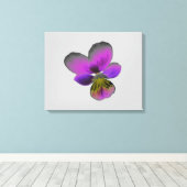 Toile Papier Pansy Wild Dark Purple (Insitu (Plancher de Bois))