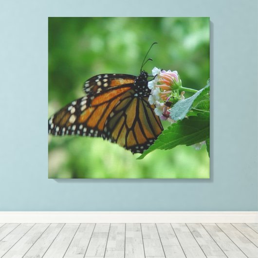 Toile Papier papillon Monarque (Insitu (Plancher de Bois))