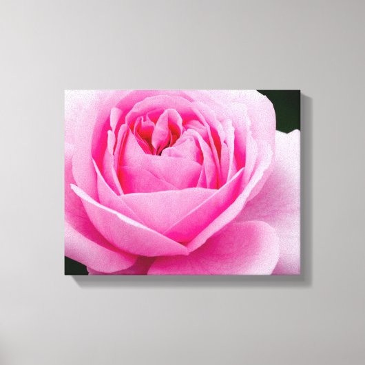 Toile Papier Pastel Rose Rose (Recto)