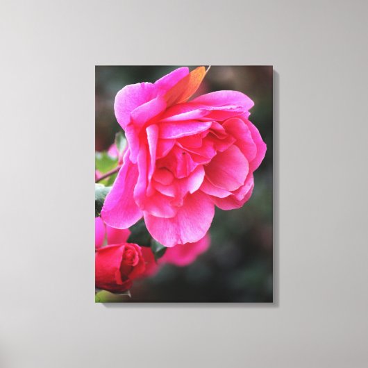 Toile Papier Rose Pretty Imprimer (Recto)