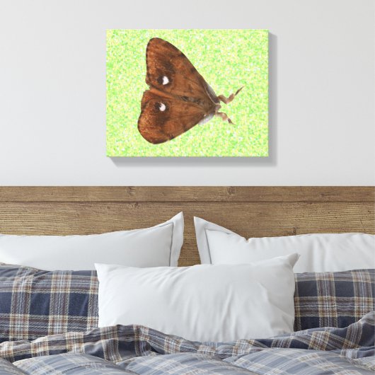 Toile Papier Vapourer Moth (Insitu(Chambre))