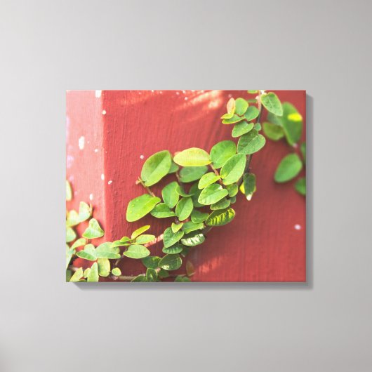 Toile Papier Vigne de corail (Recto)