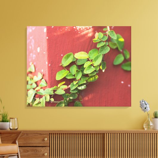 Toile Papier Vigne de corail (Insitu(Salon))