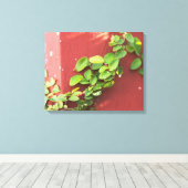 Toile Papier Vigne de corail (Insitu (Plancher de Bois))