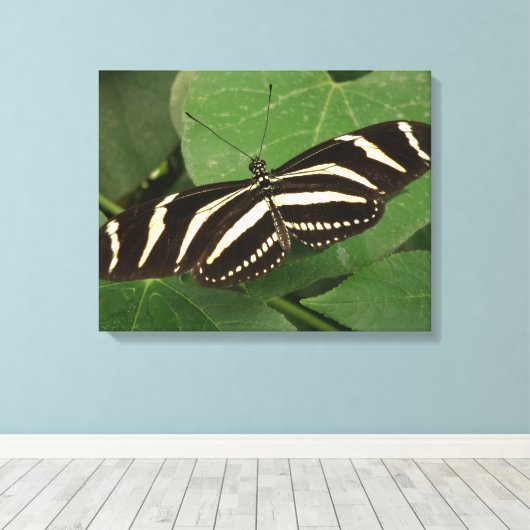 Toile Papier Zebra Longwing (Insitu (Plancher de Bois))