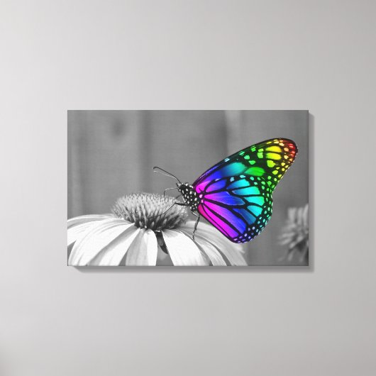 Toile Papillon (Recto)