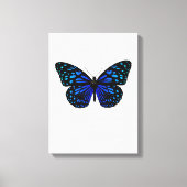 Toile papillon (Recto)