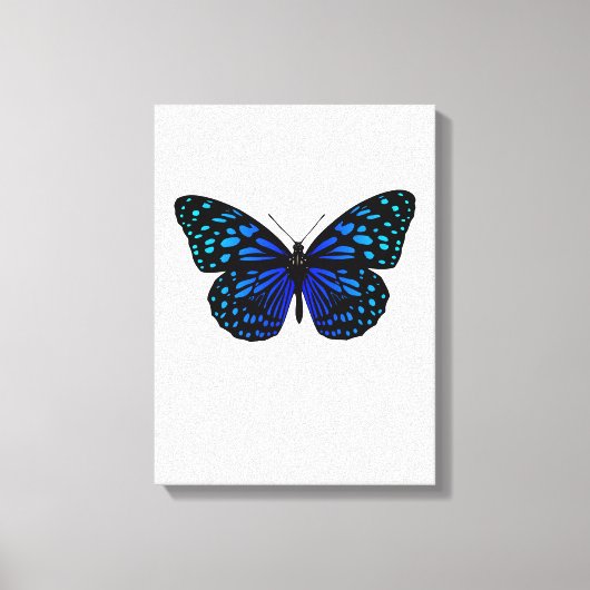 Toile papillon (Recto)