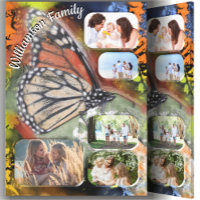 Papillon